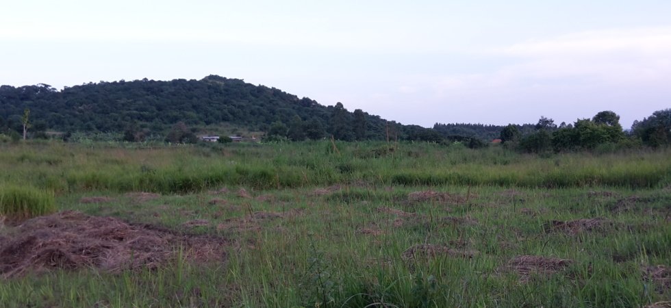 kitende land