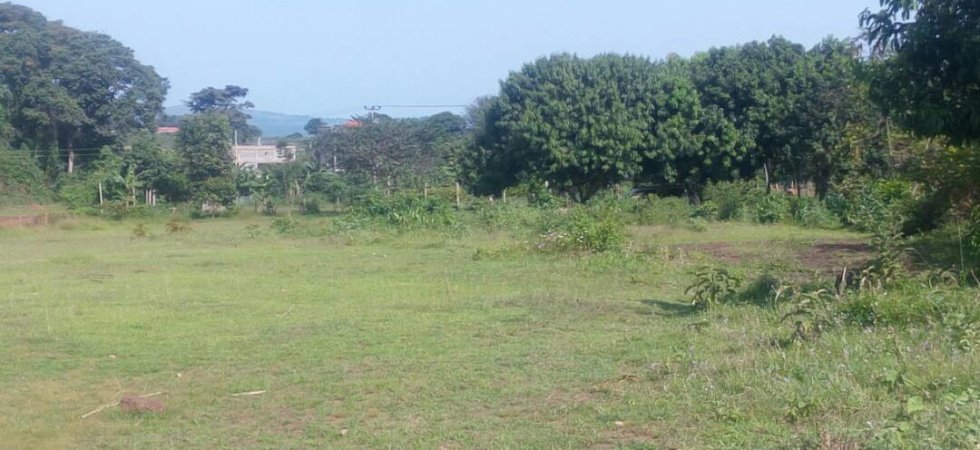 Land for sale
