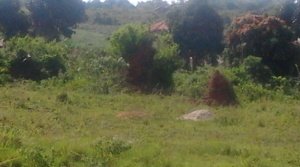 Plots For Sale, Kasanje