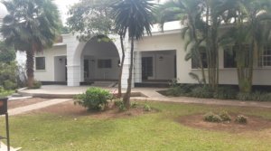 Furnished Apartments For Rent, Lungujja