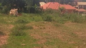 Plots For Sale, Namulanda Entebbe