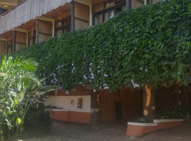 Buziga property for sale