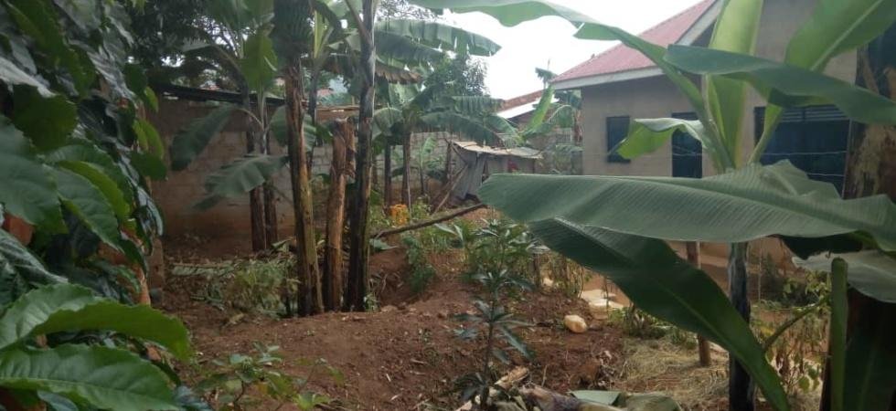 property for sale entebbe