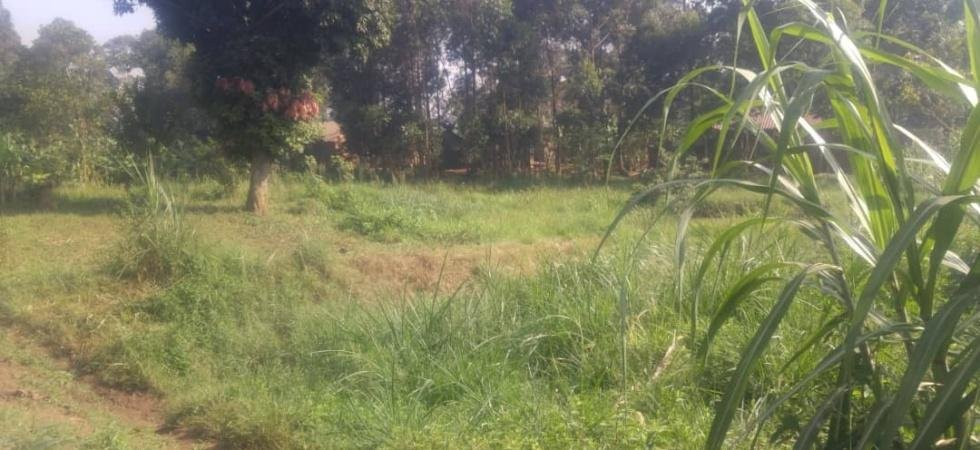 3 Acre Land For Sale, Busega