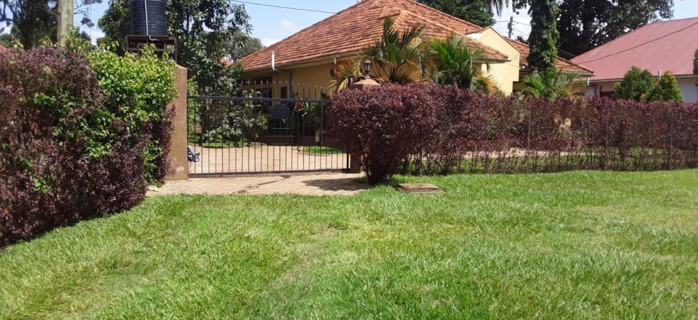 3 bed lungujja