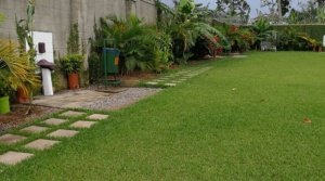 Event Gardens For Hire, Entebbe Town