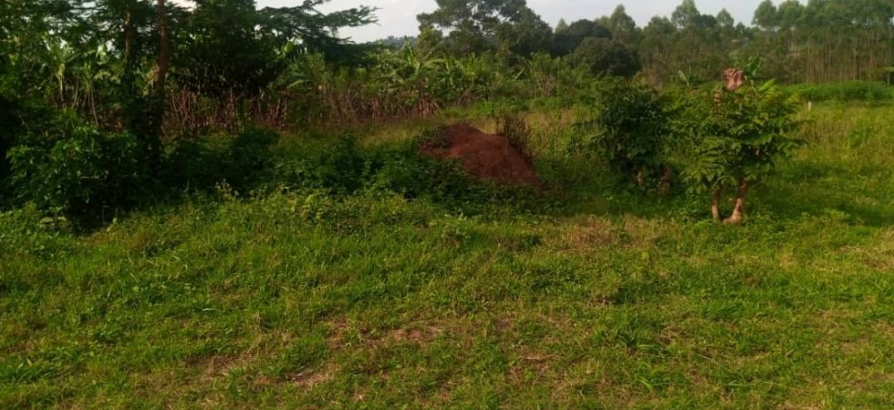 cheap plots for sale uganda
