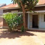 Land For Sale, Bunga