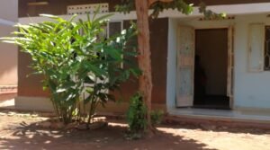 Land For Sale, Bunga