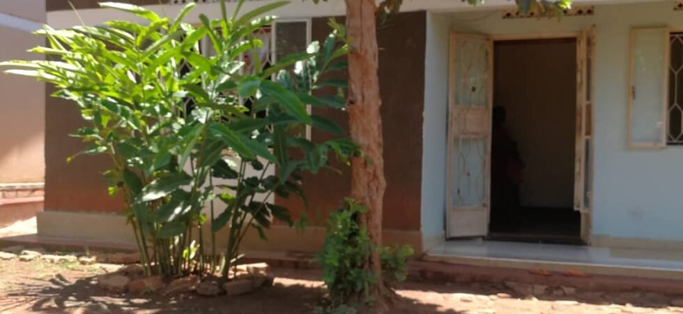 Land For Sale, Bunga